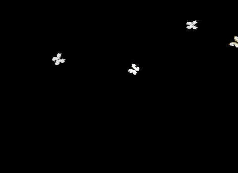 d8f.jpg