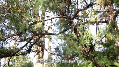 5f355c86395f95262fed1fa06c004d44.gif