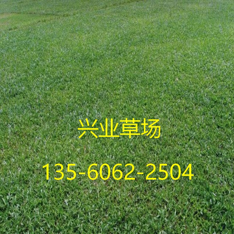 ҶͲ5.jpg