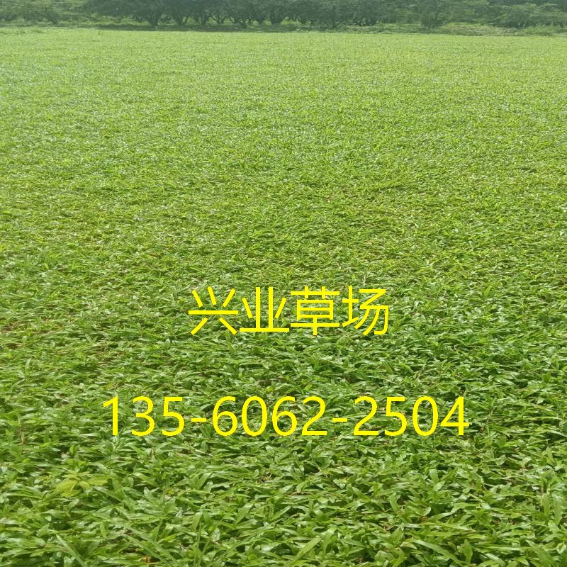 ΢ͼƬ_20240625170320.jpg
