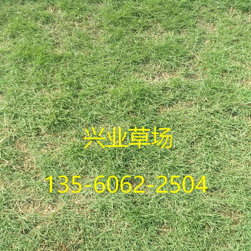 ̨3.jpg