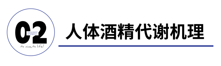1750233353391132.png
