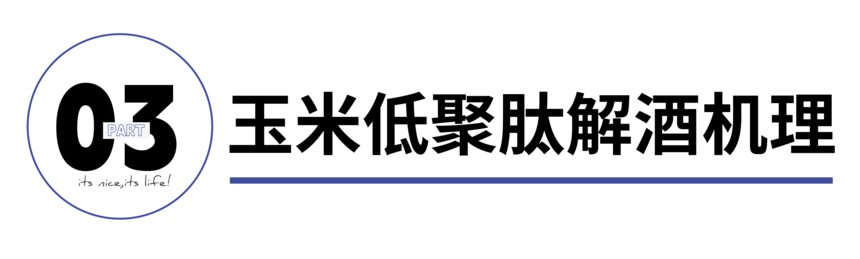 1750233462734342.png