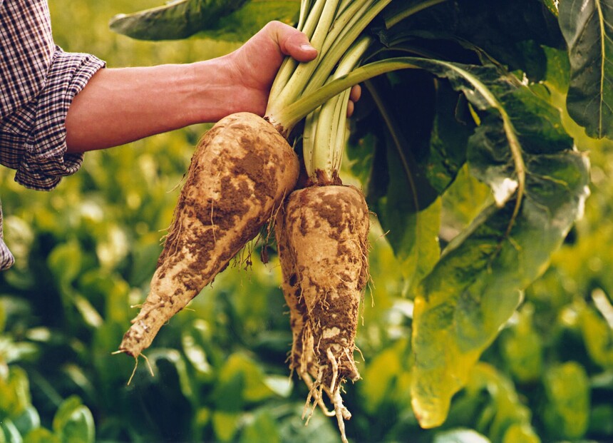 1762754361511839.jpg 1762754361511839.jpg