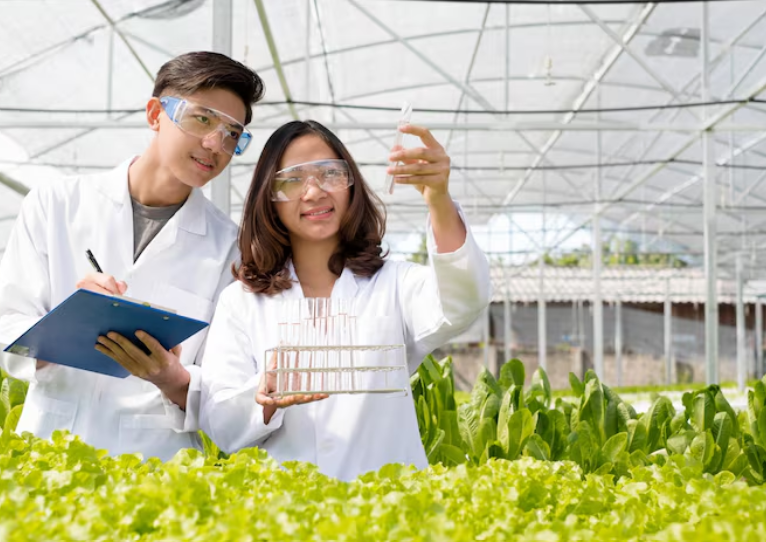 1762754462624837.png 1762754462624837.png