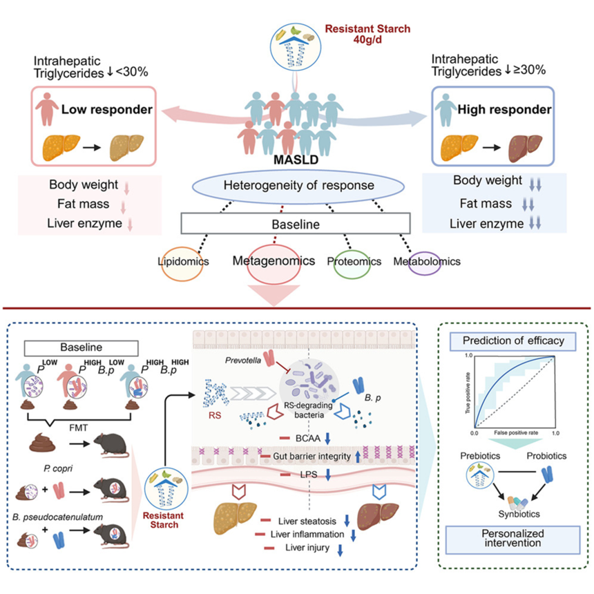 1765784033309779.png 1765784033309779.png