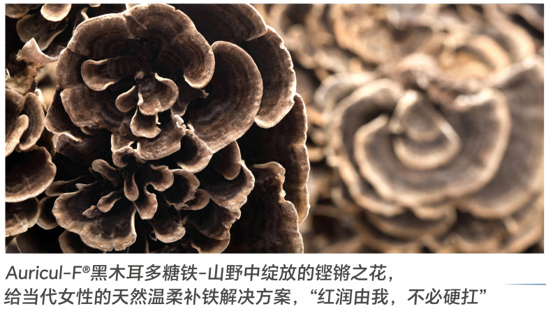 ΢��ͼƬ_20260428134355(1)(1).png