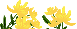 b922b076189749c8ae8e04ce02434a0d.png