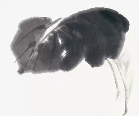 640.jpg