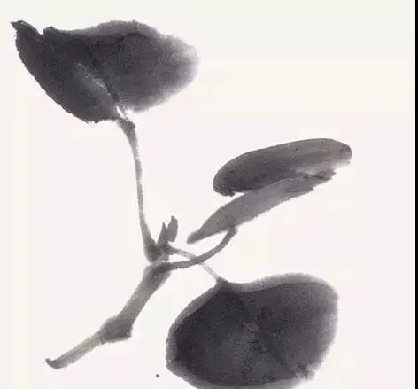 640.jpg