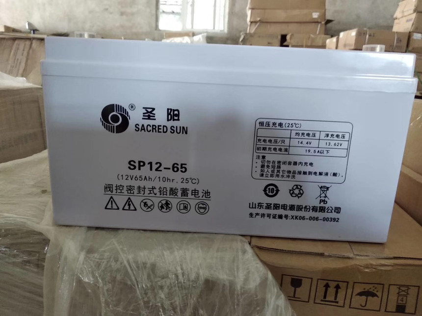 ʥSP12-65