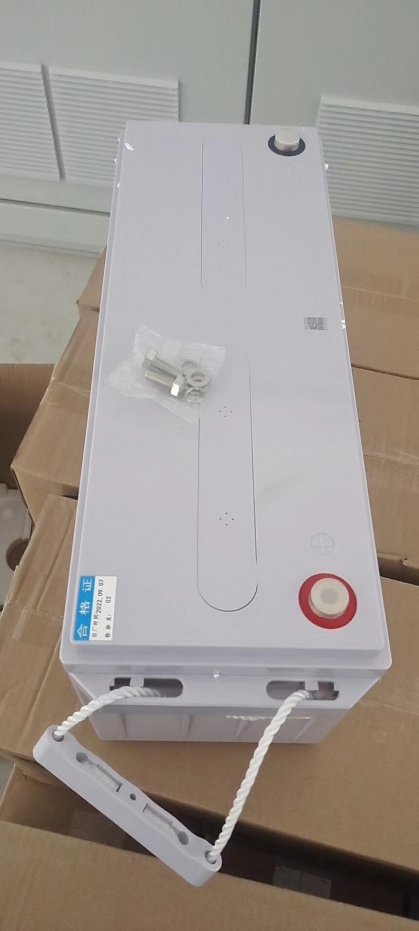 ʥ