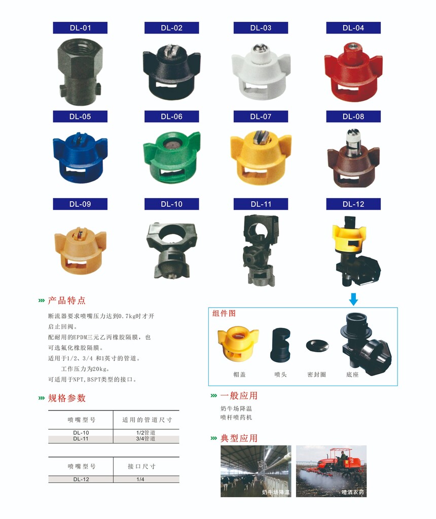 DL  a(chn)Ʒ 01.jpg