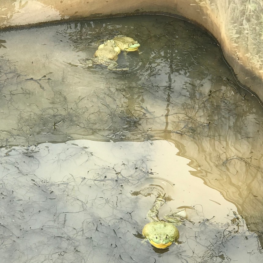 Ĵţֳ.jpg