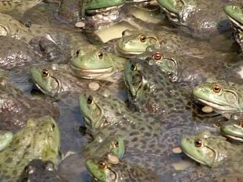 Ĵţأ7.14.webp.jpg