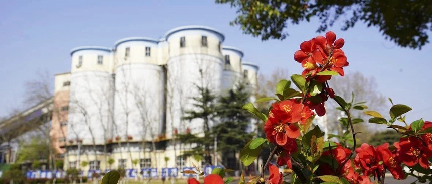 从辉煌走向新的辉煌——田庄选煤厂建成投产50周年巡礼