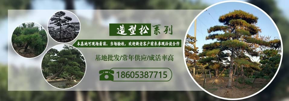 垂枝碧桃