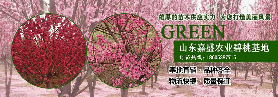 灑金碧桃