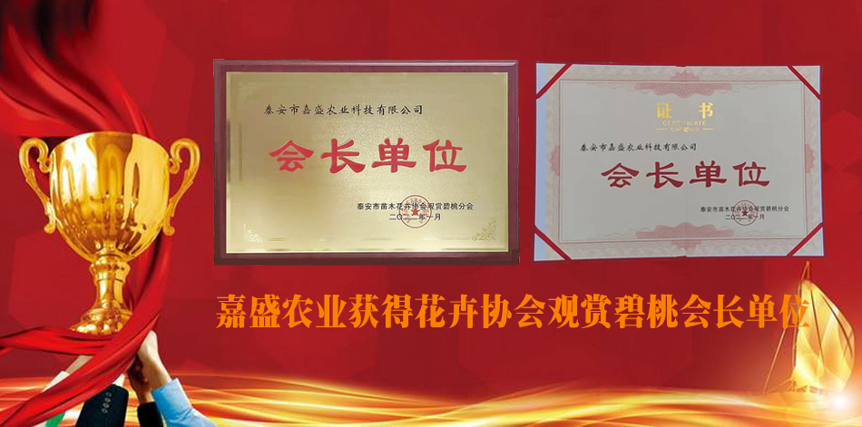 观赏碧桃