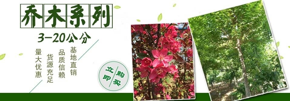 招手桃