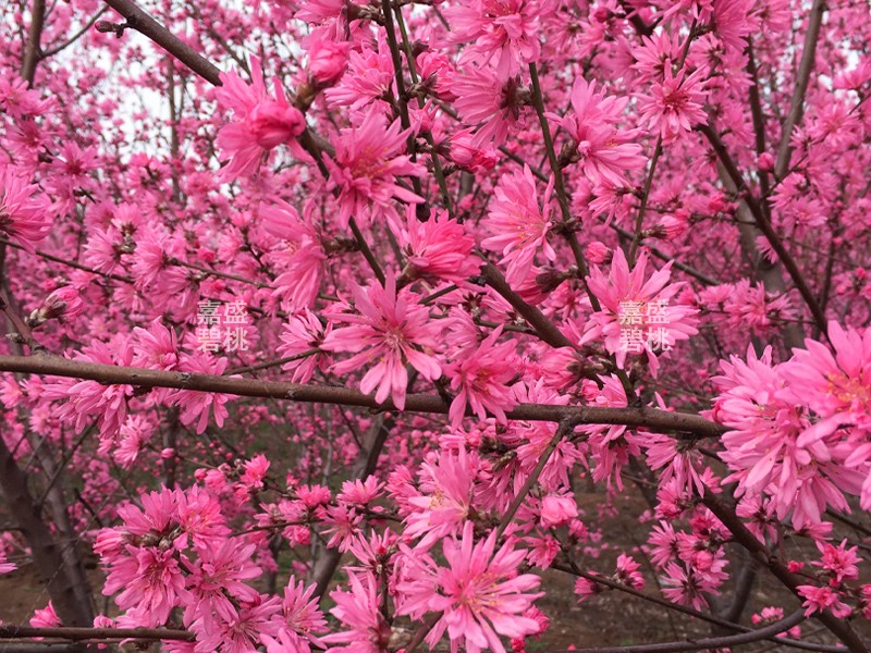 �ջ����һ���