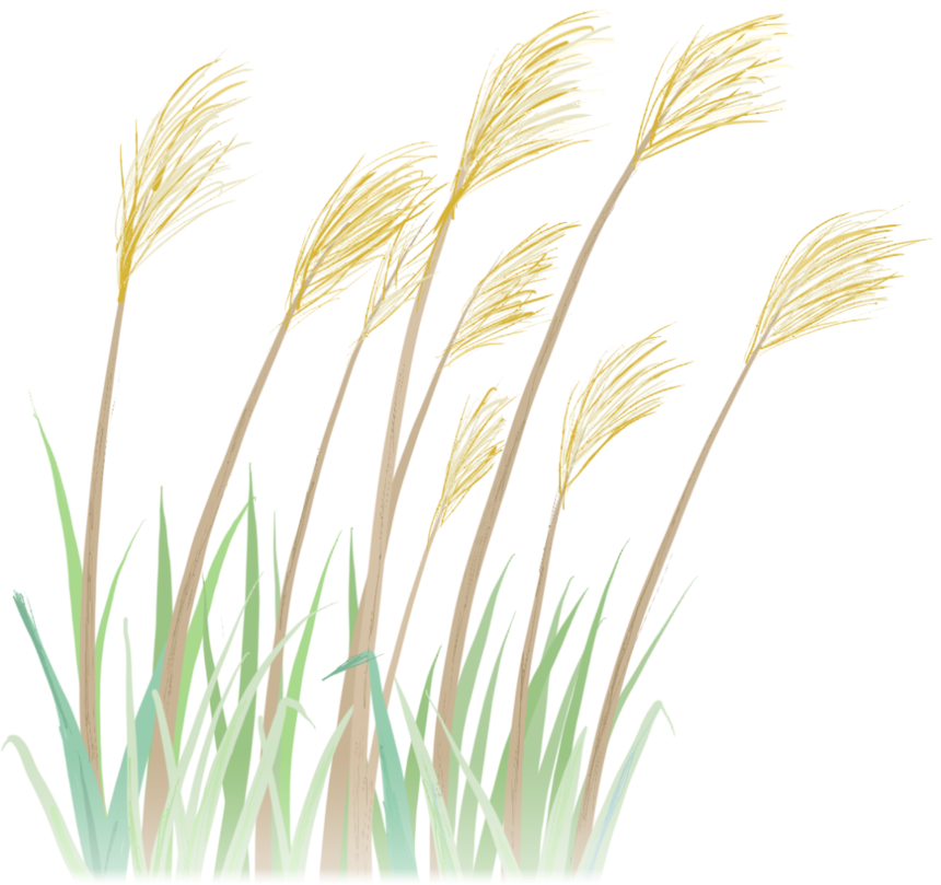 ΢ňDƬ_20250206134859.png