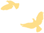 ΢ňDƬ_20250206162513.png