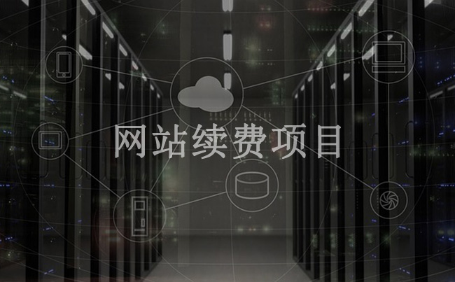 网站续费价格