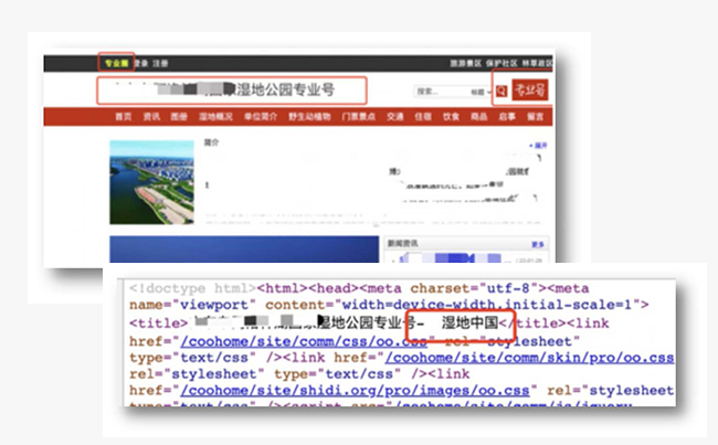网站优化—站点名设置规范