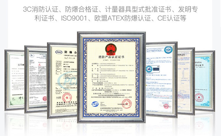 便携式可燃气体检测仪 便携式可燃气体检测仪