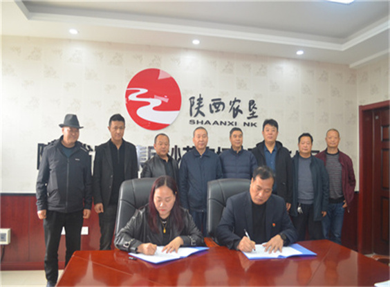 沙苑农场与陕西江城润公司举行高粱种植战略合作 签约仪式