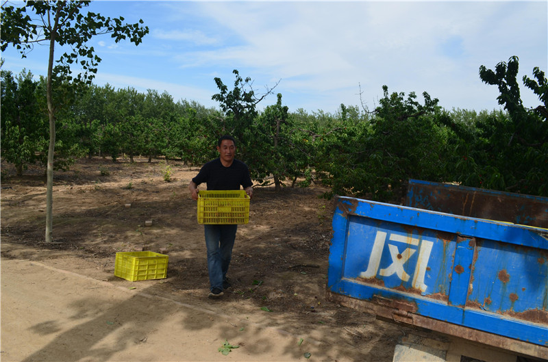 1559806160646313.jpg 二區區長王天順 (1).JPG..jpg