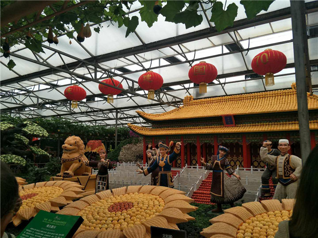 1559809495287647.jpg 微信图片_2019050515370010.jpg