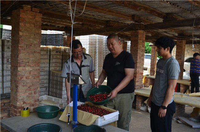 1559812230765901.jpg 稱重定量.JPG..jpg