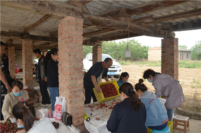 1559812252735579.jpg 搬運 (1).JPG..jpg