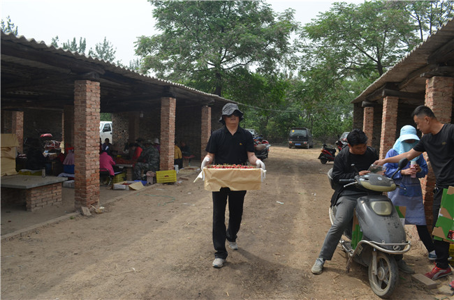 1559812272164971.jpg 搬運 (2).JPG..jpg