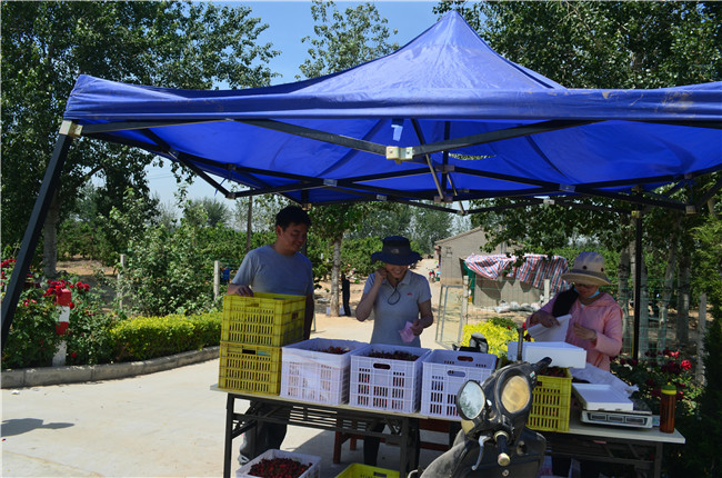 1559812429435891.jpg 零售 (2).JPG..jpg