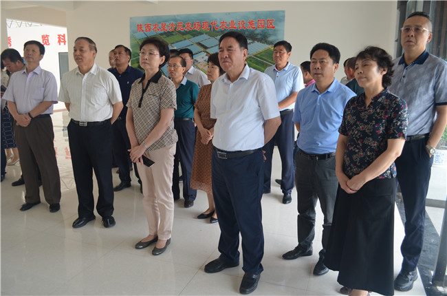 1562836896821014.jpg 0d232da4a7619f7e654a7cbe788c013.jpg