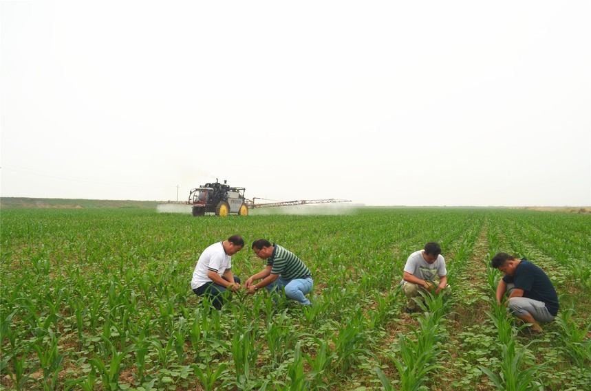 1563787753959197.jpg DSC_0048.jpg