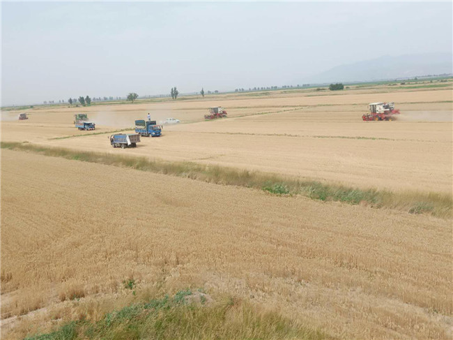 1563960027189329.jpg 1560240178607651.jpg