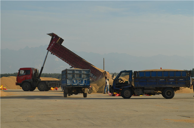 1563960265408143.jpg 1560240397570943.jpg