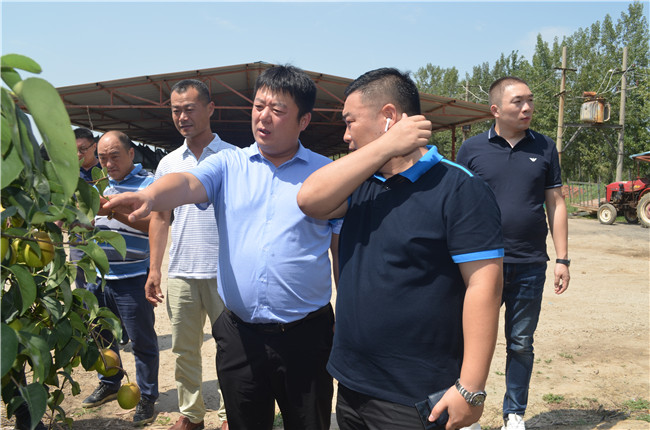 1564629048676883.jpg DSC_0111.JPG