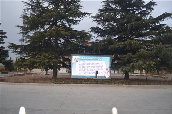 1583377998974895.jpg 4.JPG