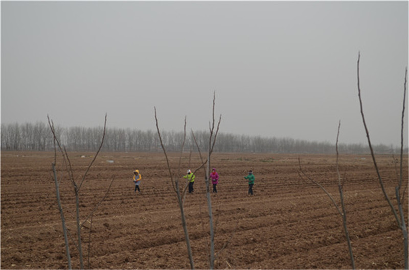 1583720867601504.jpg DSC_0076.JPG