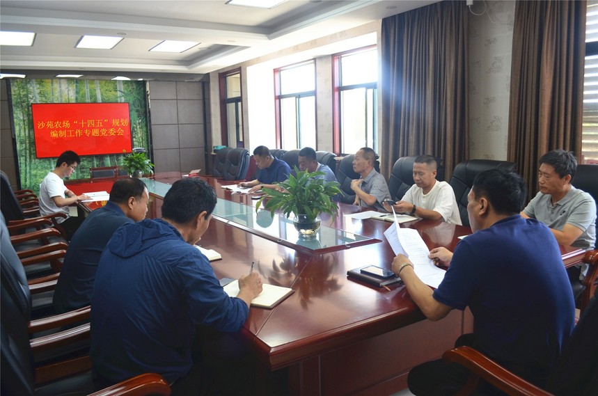 1599182553165777.jpg DSC_0008.jpg