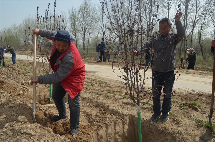 1616661174388899.jpg ae3d331012d99066f4cd5d31b8f7cb5.jpg