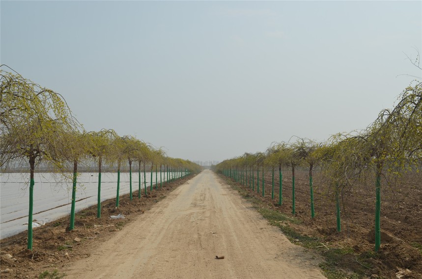 1616661190975352.jpg 7cb7becbde39037b67aceaac994b6cc.jpg