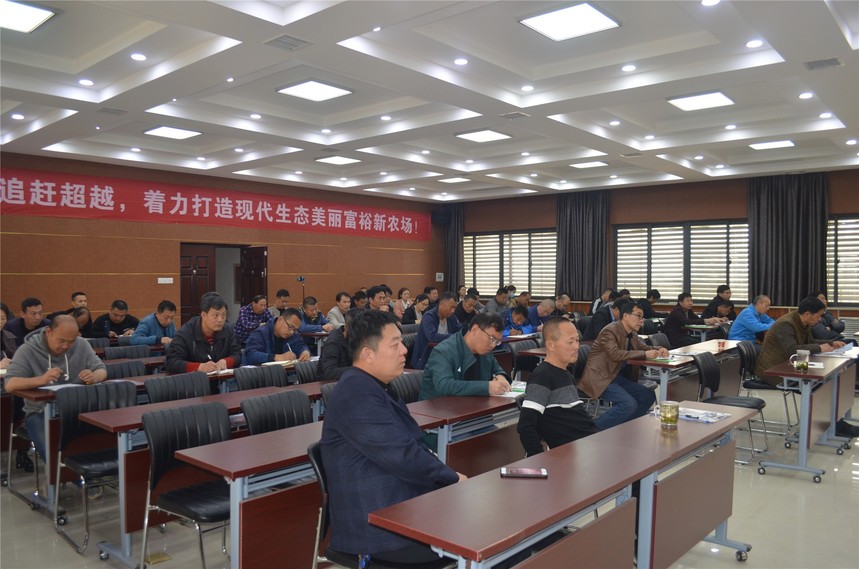 1617089872297463.jpg DSC_0034.JPG