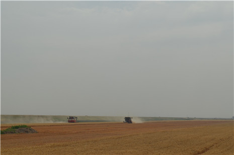DSC_0046.jpg