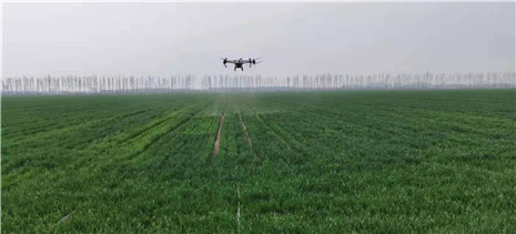 1647933242882596.jpg c7a8186c02006cee6f6658e2910655d.jpg